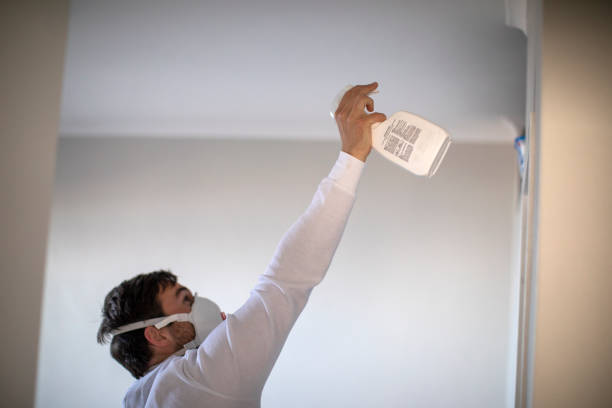 Best Attic Mold Removal  in Loganville, PA
