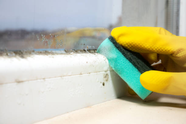 Best Mold Testing  in Loganville, PA
