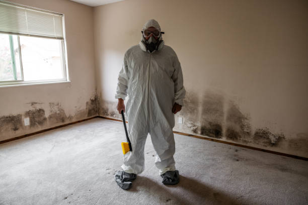 Best Mold Remediation Services  in Loganville, PA